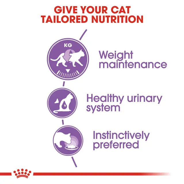 Royal Canin Cat Sterilised Adult Jelly