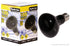 Reptile One Night Heat Lamp