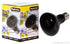 Reptile One Night Heat Lamp