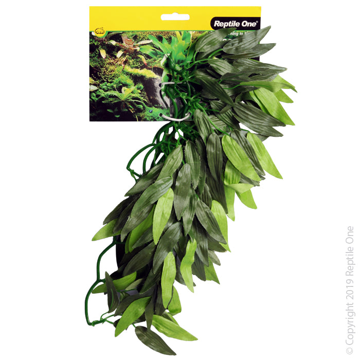 Reptile One Tradescantia Cascading Plant Green