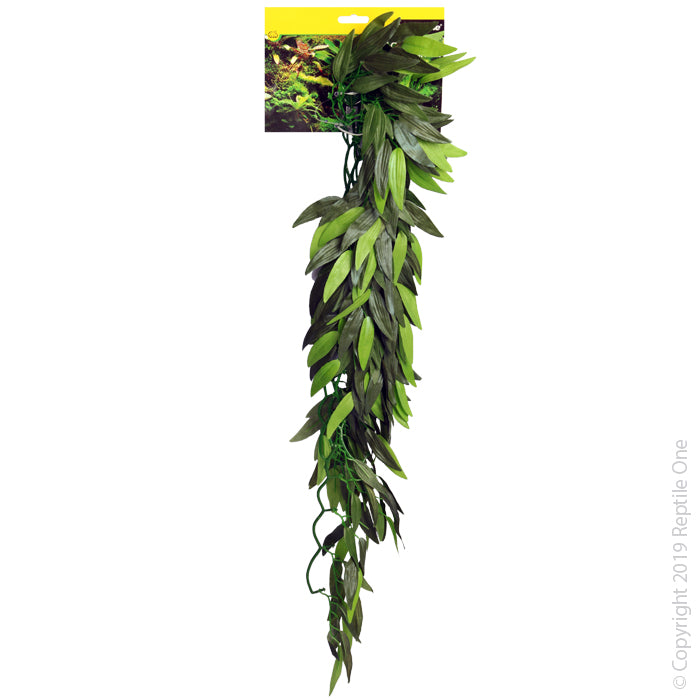 Reptile One Tradescantia Cascading Plant Green