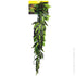Reptile One Tradescantia Cascading Plant Green