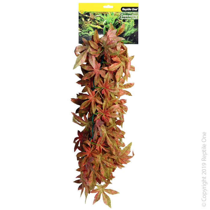 Reptile One Hanging Sativia Red