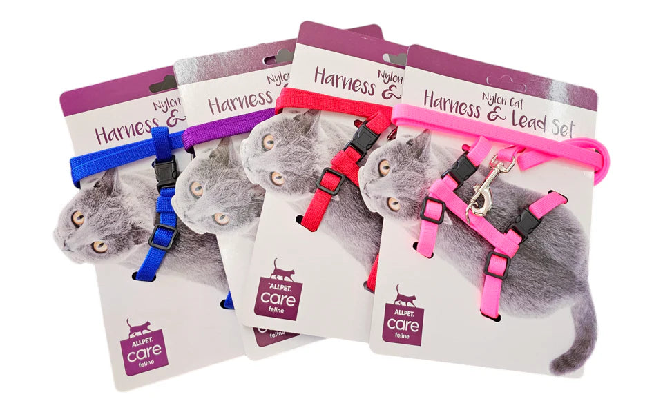 Cat Harness Lead Set