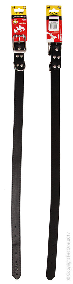 Collar Leather Studded