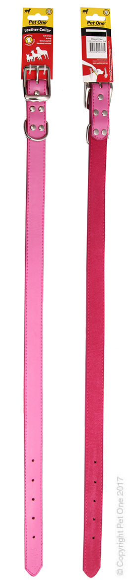 Collar Leather Studded