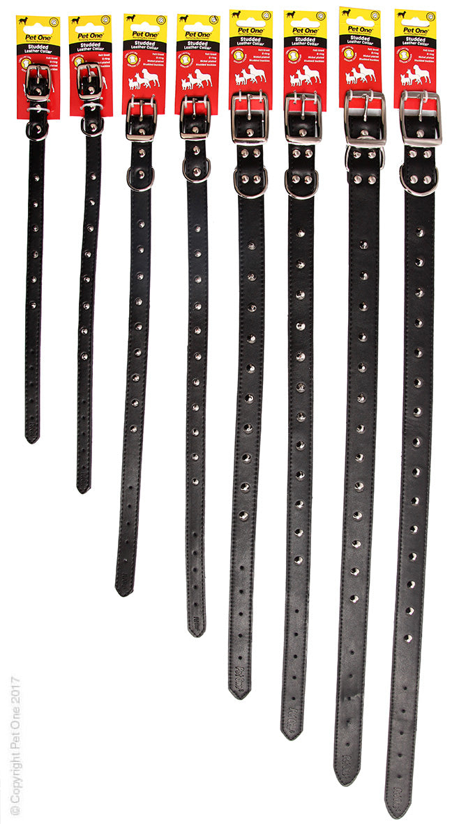 Collar Leather Studded