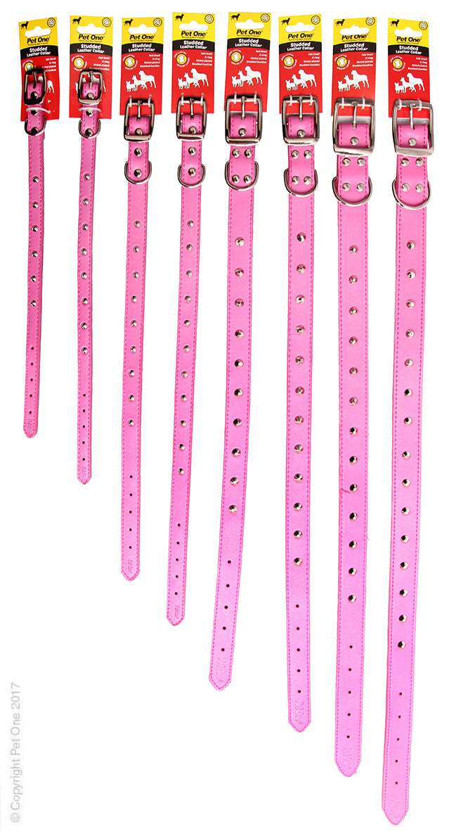 Collar Leather Studded