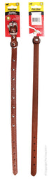 Collar Leather Studded
