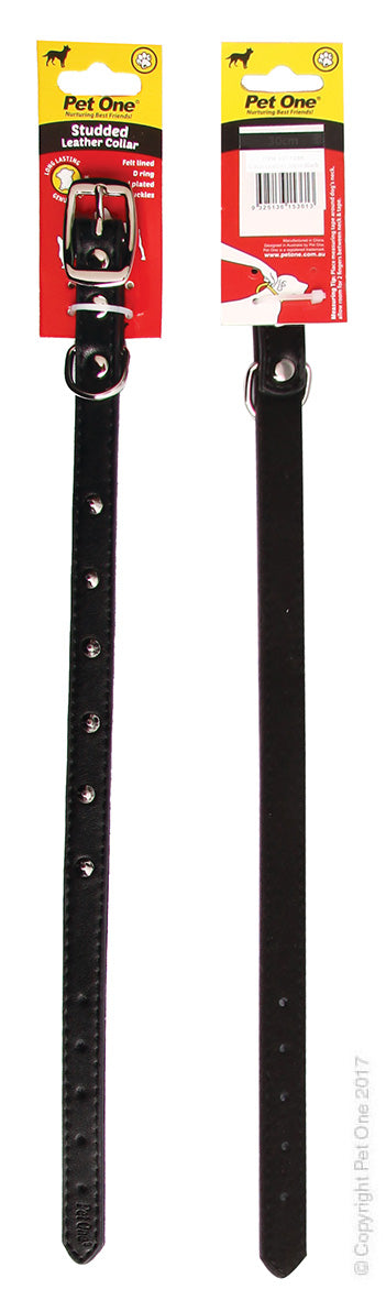 Collar Leather Studded