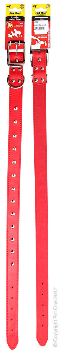 Collar Leather Studded