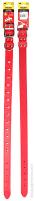 Collar Leather Studded