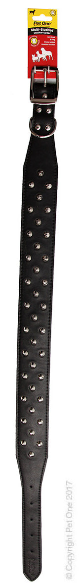 Collar Leather Studded