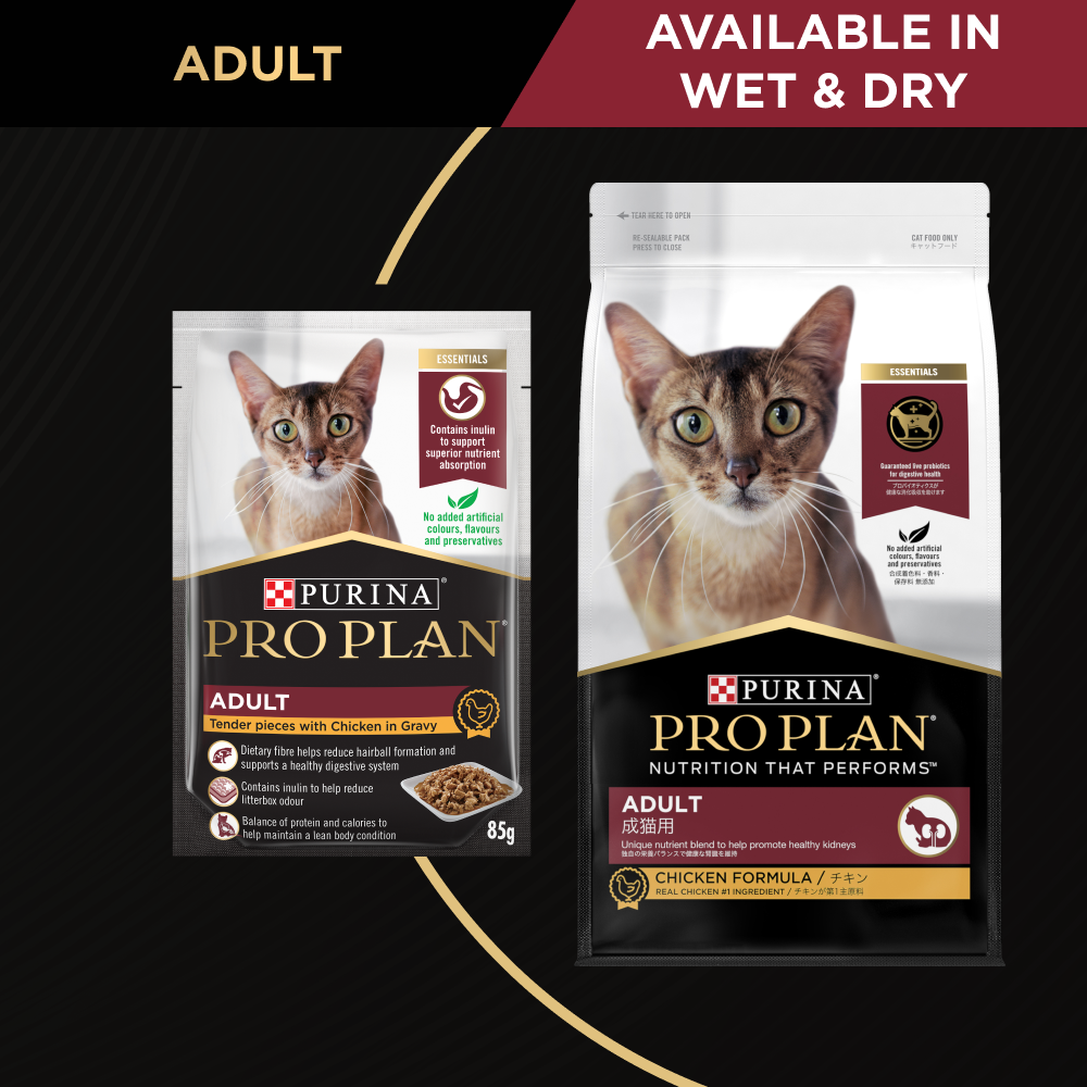 Pro Plan Adult Cat Chicken 3kg