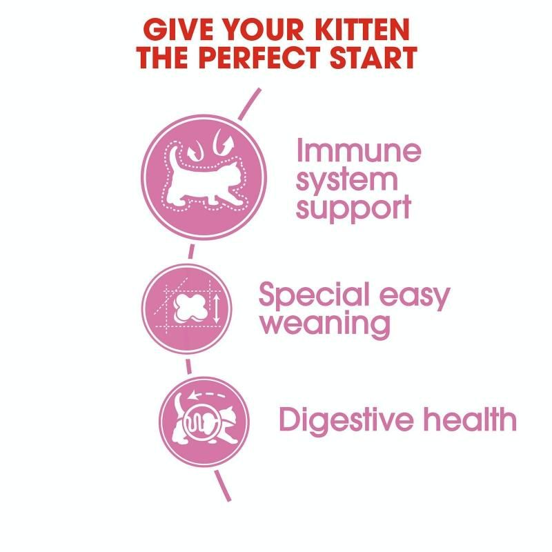 Royal Canin Mother And Babycat 4kg