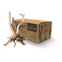 Driftwood Stump