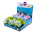 Mini Plants Coloured Tip Leaf Assorted