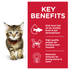 Science Diet Cat Wet Kitten Chicken Pouch