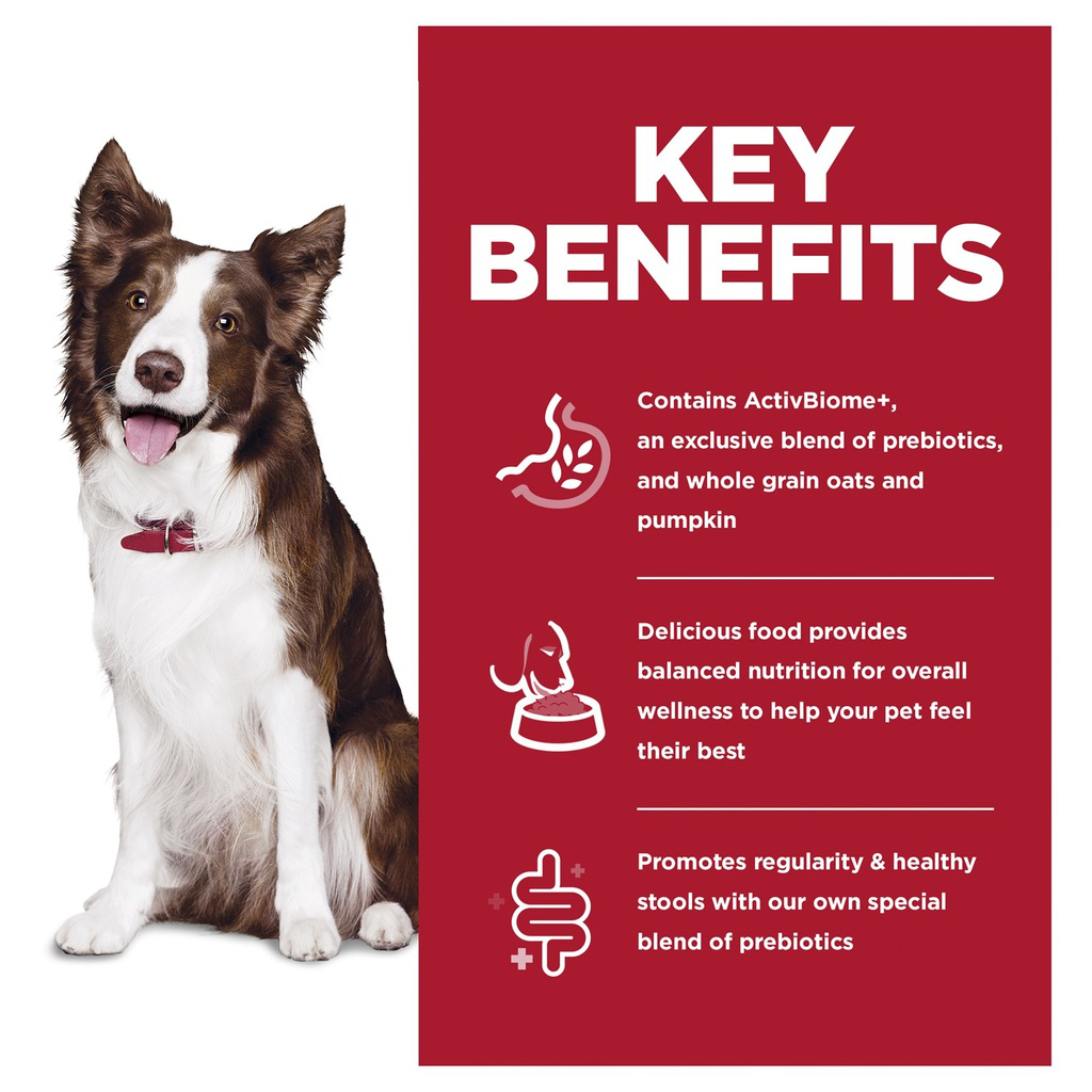 Science Diet Dog Dry Perfect Digestion Adult 1.59kg