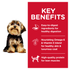 Science Diet Dog Dry Small Paws Lamb 2kg