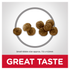 Science Diet Dog Dry Small Paws Lamb 2kg