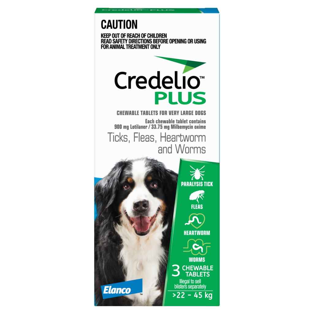 Credelio Plus