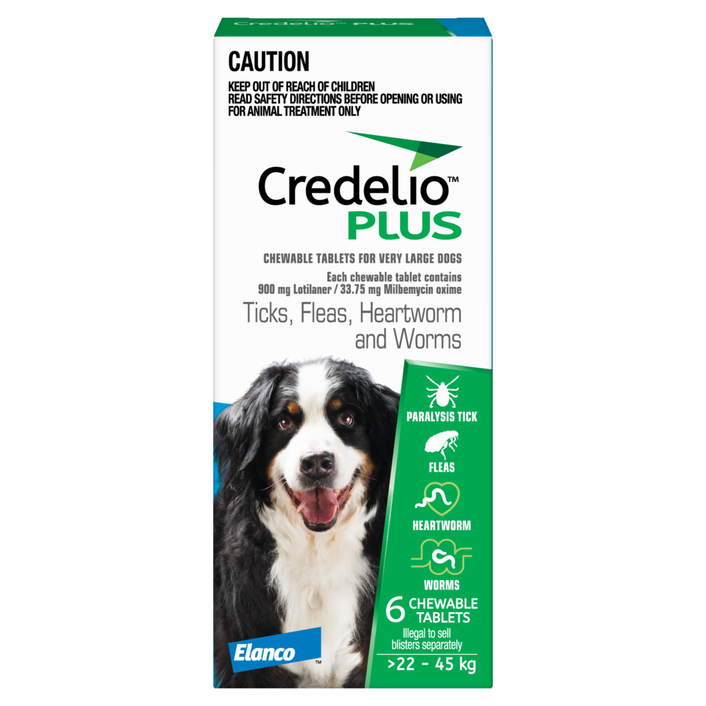 Credelio Plus