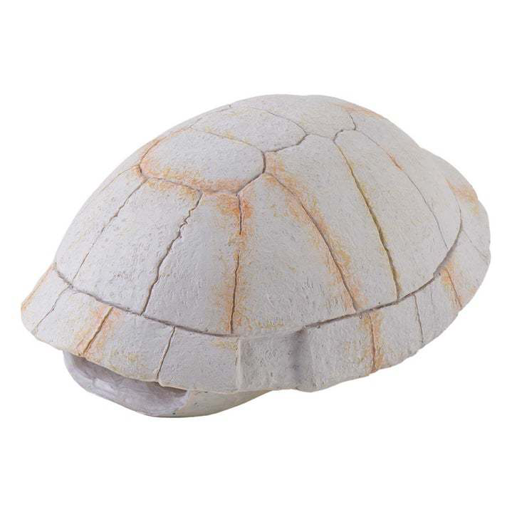 Exo Terra Tortoise Skeleton