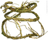 Reptile Plant Vine Moss 150cm