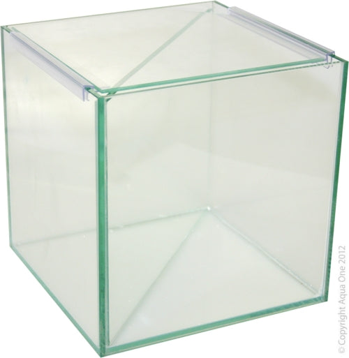 Betta Tank Divided Glass 20cm