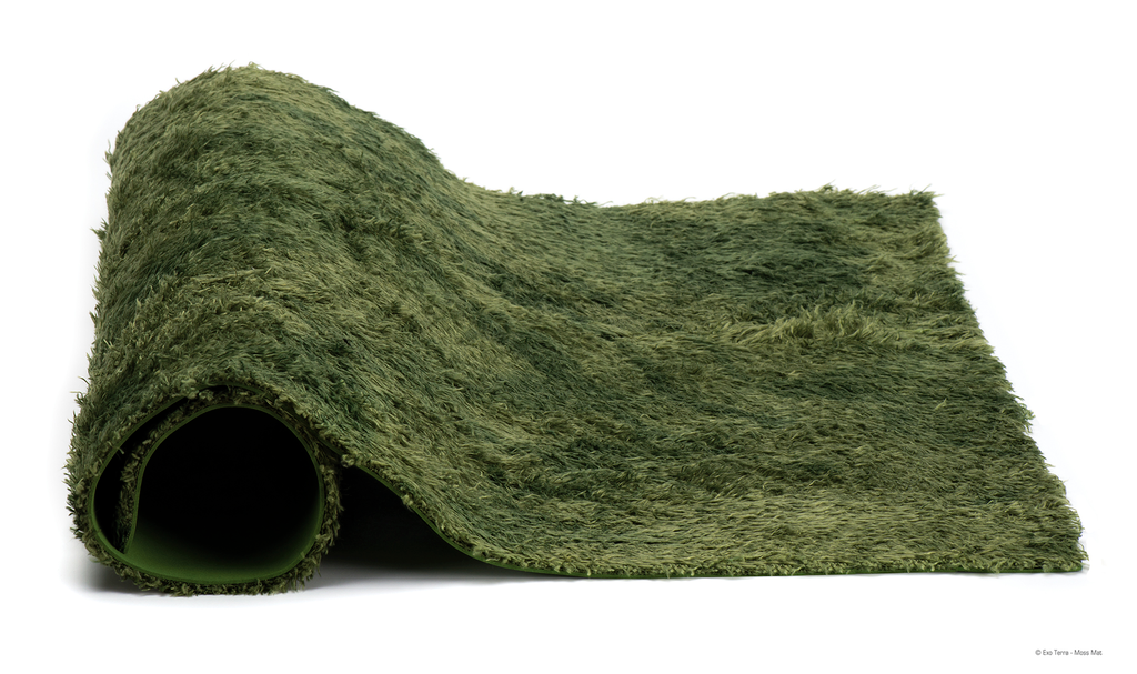 Forest Mat Medium