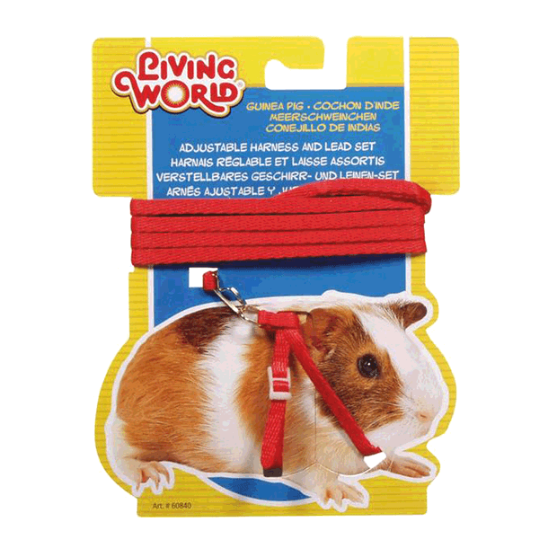 Living World Guinea Pig Harness and Lead
