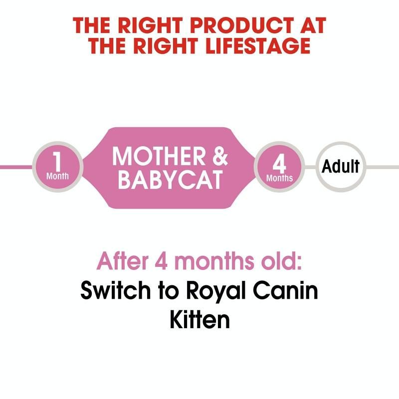 Royal Canin Mother And Babycat 4kg