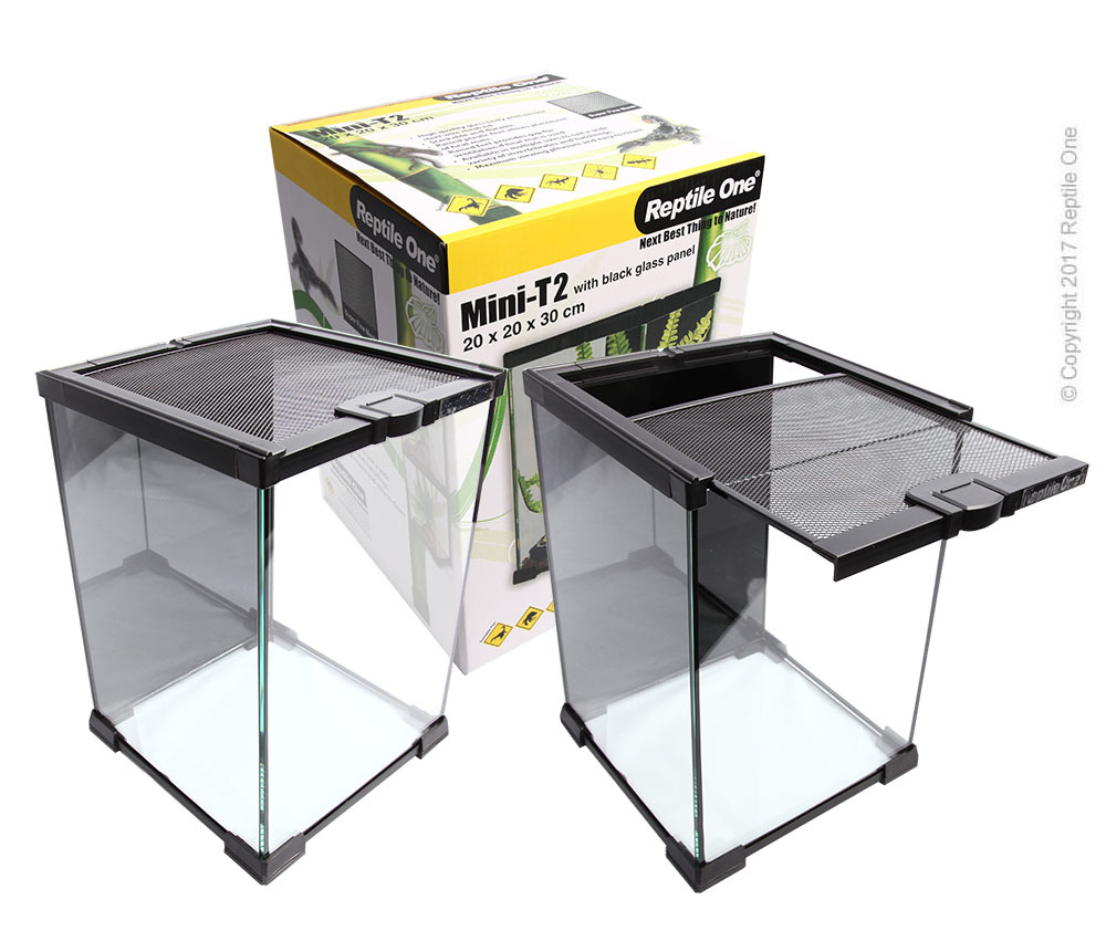 Terrarium Glass Mini T2