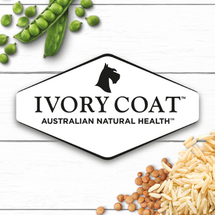 Ivory Coat
