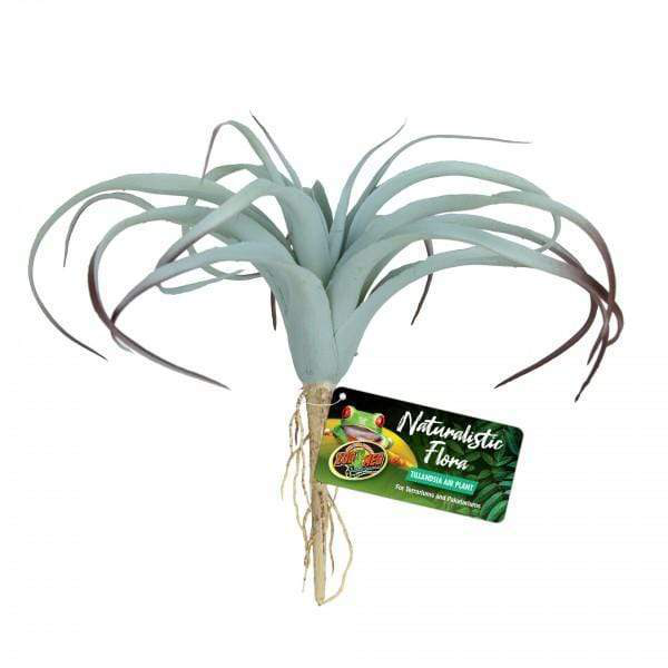 Zoo Med Tillandsia