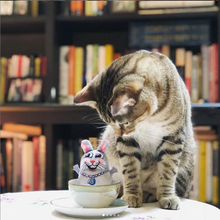 Fuzzu Tea Cups Cat Toy Bunny