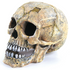 Skull Large