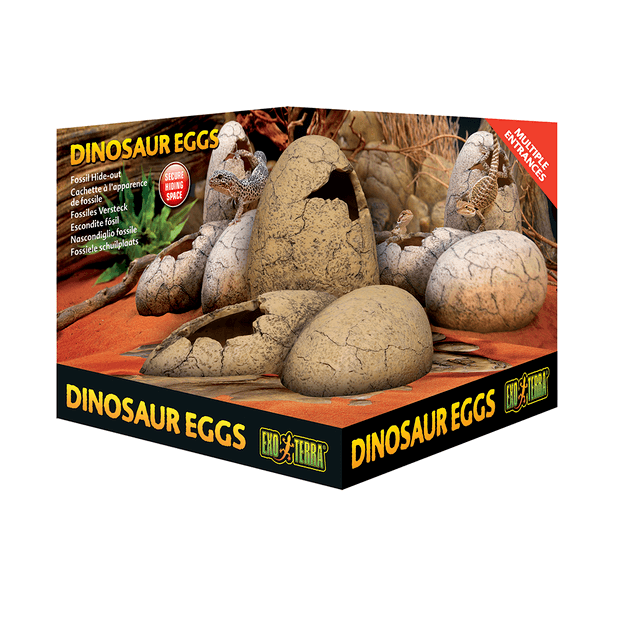 Exo Terra Dinosaur Eggs S Hideout And Water Dish