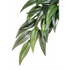 Exo Terra Plant Ruscus Medium