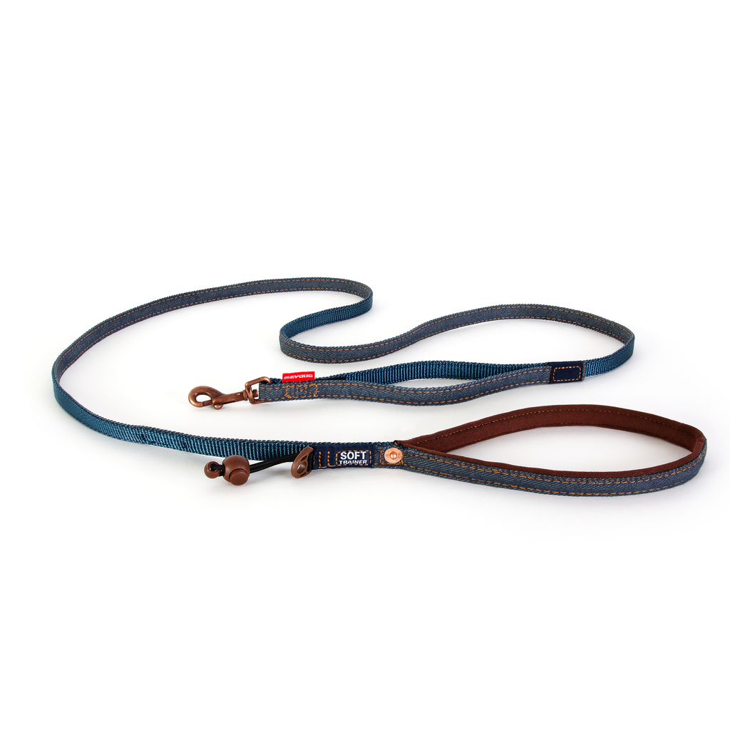 Ezydog Lead Trainer 12