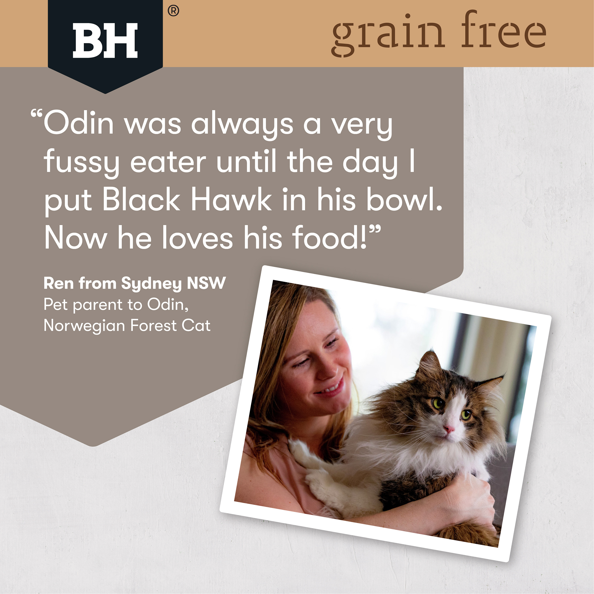 Black Hawk Cat Wet Mature Chick/Salmon