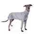 Kazoo Greyhound Softie Grey