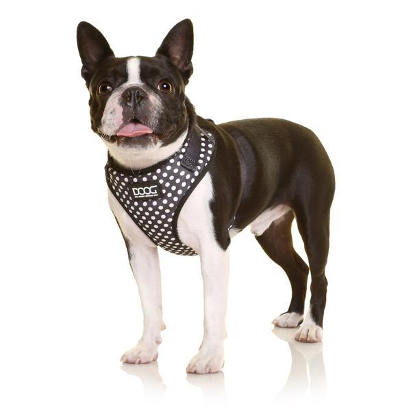 Doog Neoflex Harness Pongo Extra Large