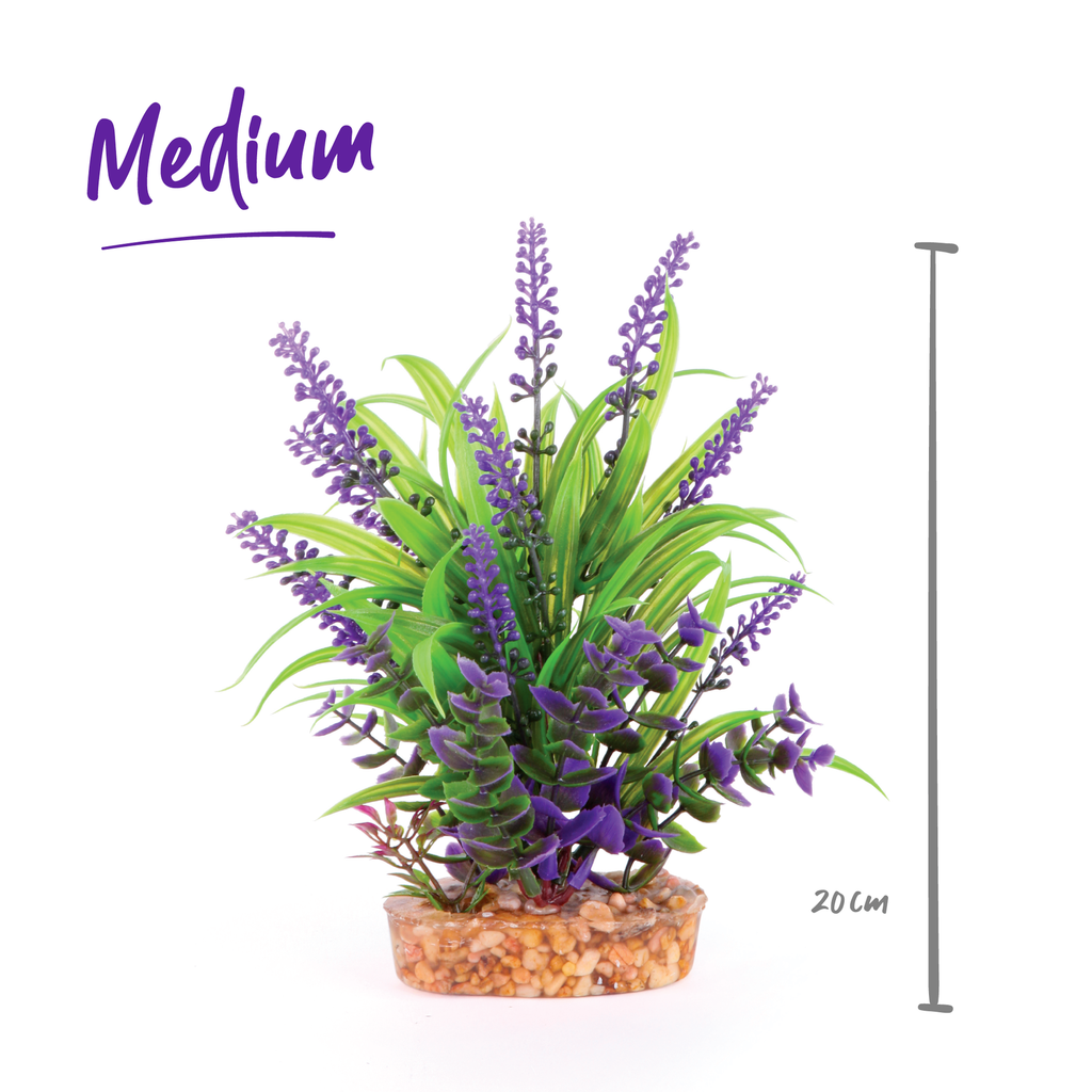 Combination Plant Thin Leaf With Purple Flower