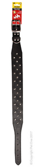Collar Leather Staffy
