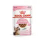 Royal Canin Cat Sterilised Kitten Gravy