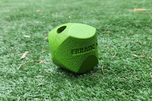 Chuckit Erratic Ball Medium 6Cm - 2Pk