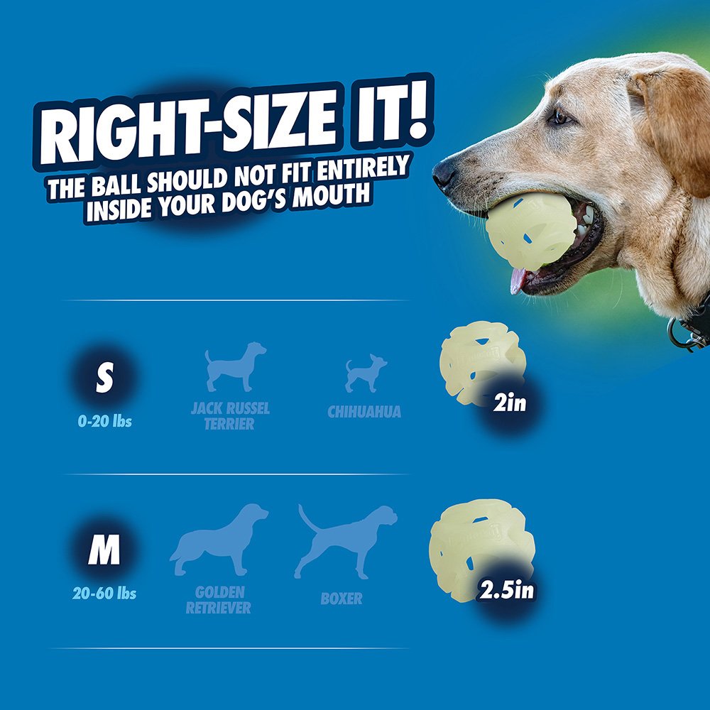 Chuckit Max Glow Air Fetch Medium 6Cm - 2Pk