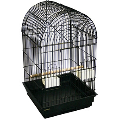 Bird Cage Arch Top